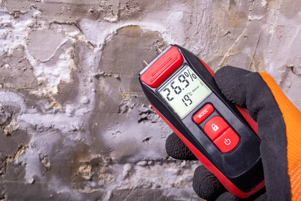 Best Commercial Mold Remediation in Desert Edge, CA